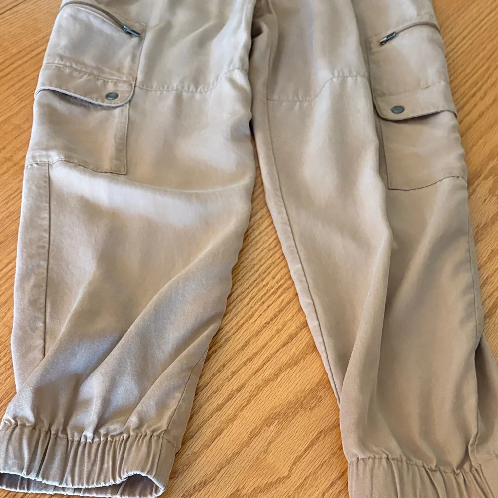 Banana Republic Beige Cargo Jogger Pants - Picture 4 of 11